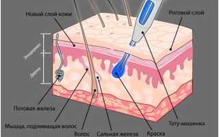 Татуаж бровей — причины и возможные последствия популярной косметической процедуры