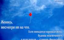 Прикольные цитаты про свадьбу. Какие цитаты и афоризмы подойдут на свадьбу