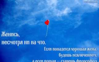 Прикольные цитаты про свадьбу. Какие цитаты и афоризмы подойдут на свадьбу