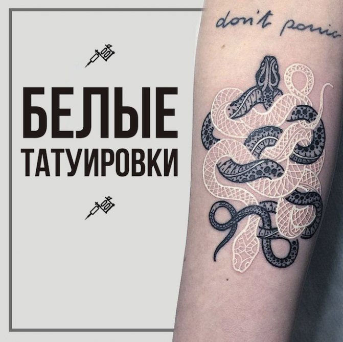 белые тату 2 змеи