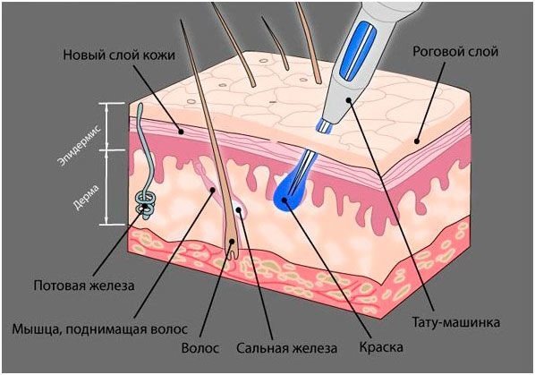 Напыление бровей. Что это такое, сколько держится, фото до и после, последствия, отзывы