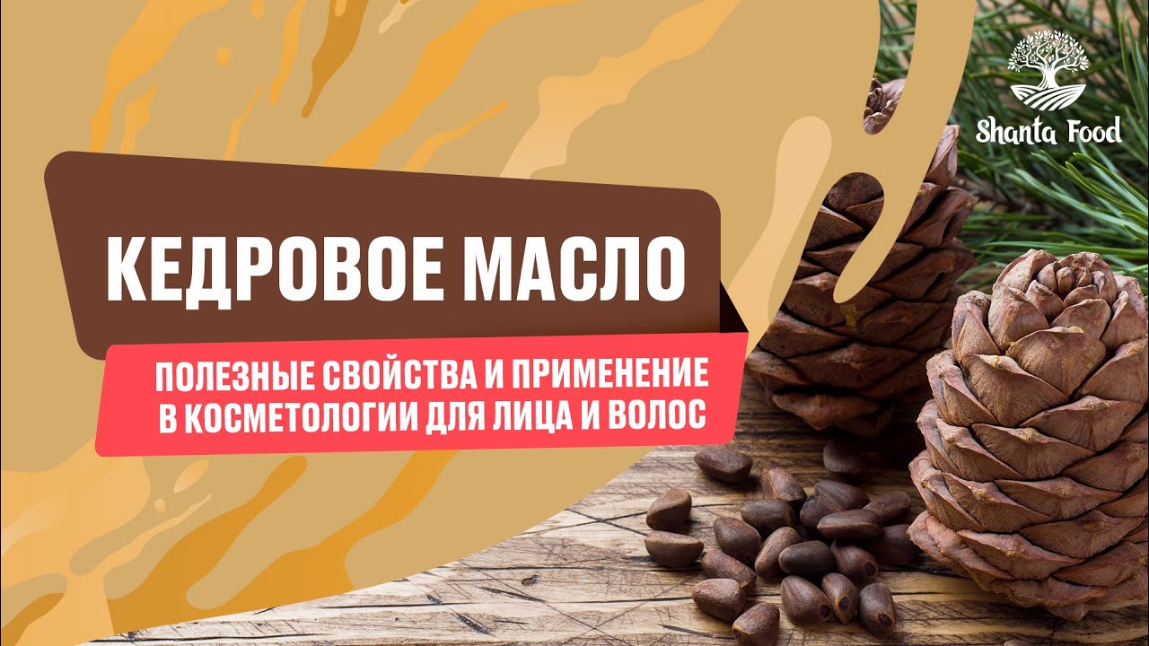 Кедровое масло: полезные свойства и приминение в косметологии для лица и волос