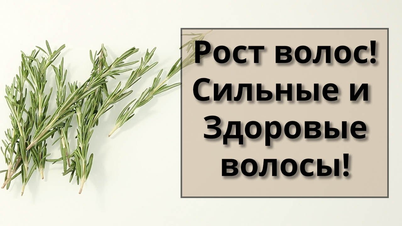 Розмарин для роста волос