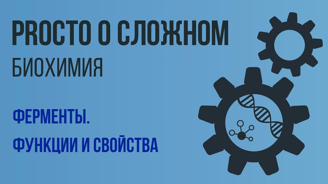 Просто о сложном: ферменты, биохимия