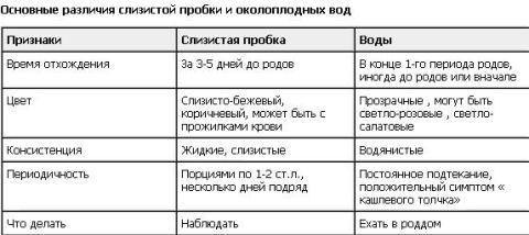 Что такое слизистая пробка?