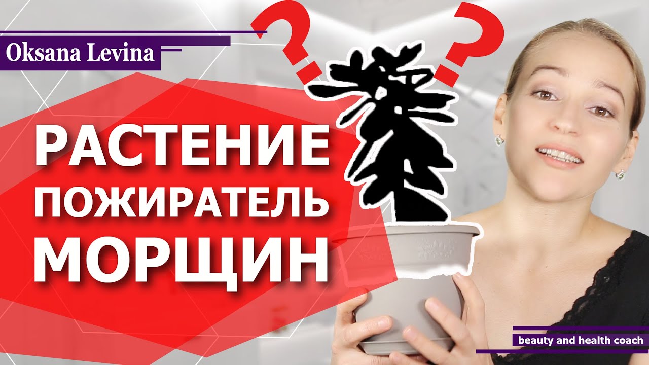 Чудесное лечение кожи от прыщей