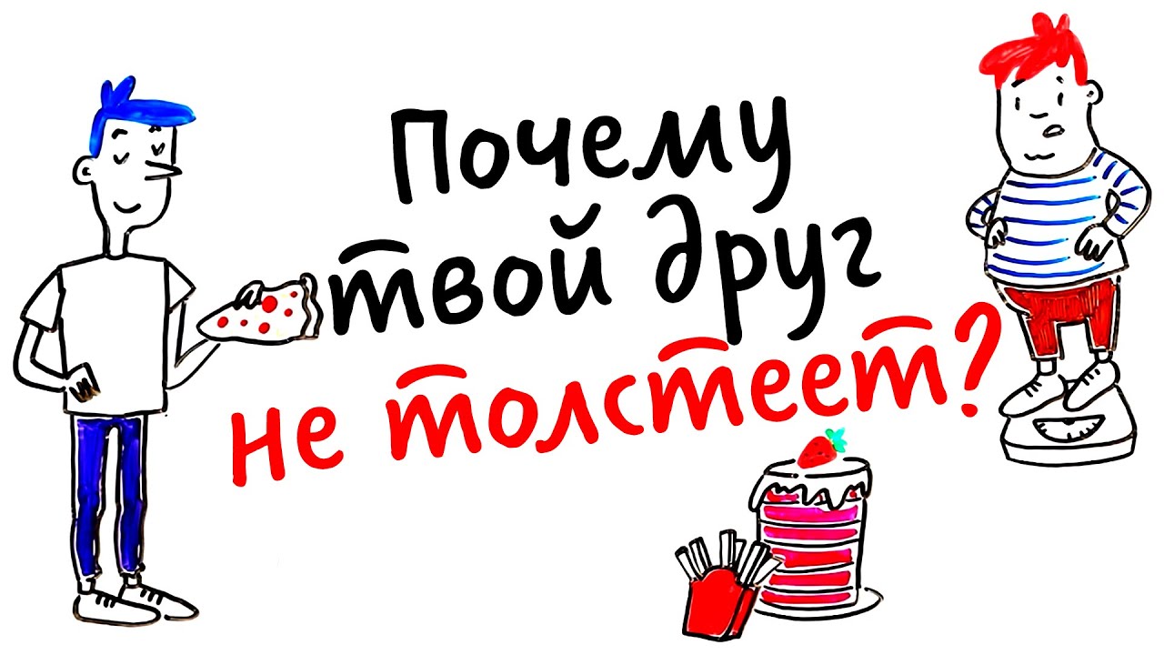 Почему человек ест и не толстеет